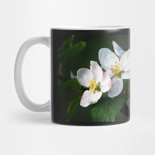 Blossom Time Mug